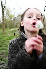 144708320_f1d526fb2b_m2