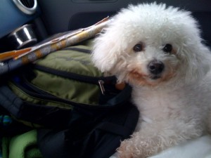 berkbackpack